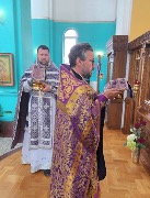 IMG_2139.jpeg