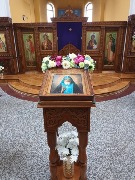 IMG_2135.jpeg